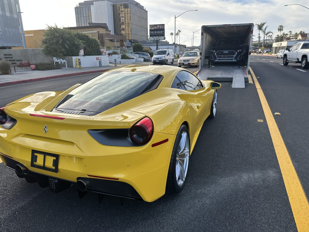 Photo Dec 13 2024, 3 01 34 PM